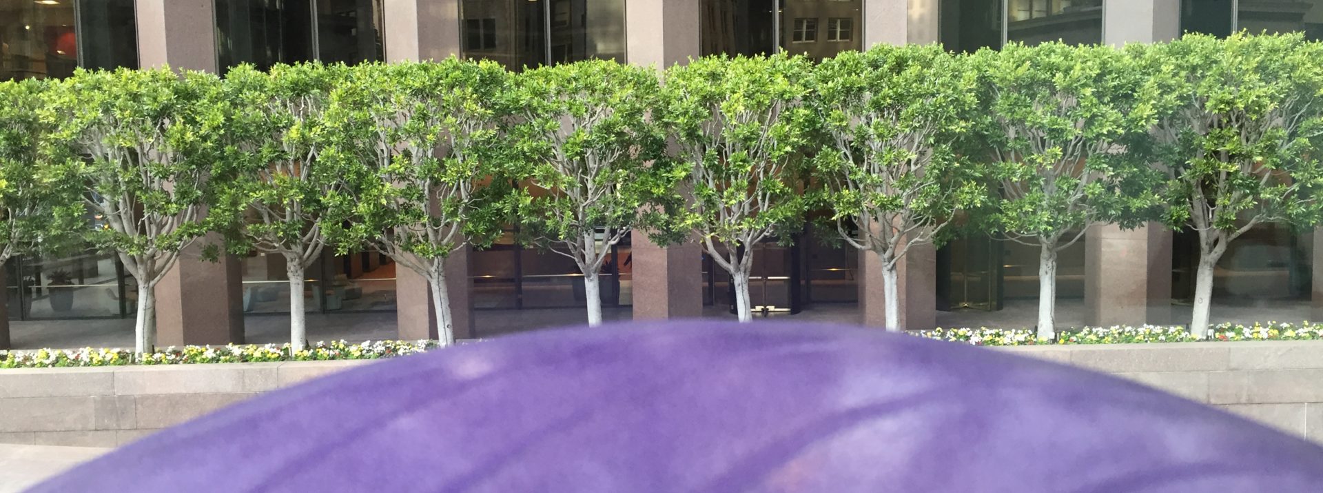 Practice Built On Honesty And Integrity